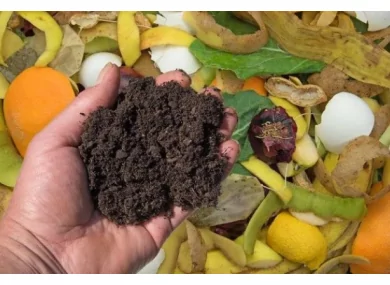 Si on parlait des biodéchets ?