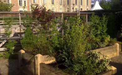 Jardinières modulaires en bois image 3