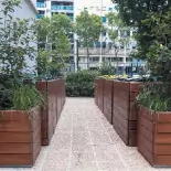 abris-mango-cour-bois