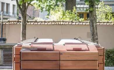 Abris conteneurs en bois image 4