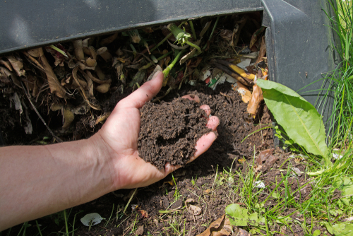 P%ourquoi installer des bacs de compostage pour 2023 dans les villes